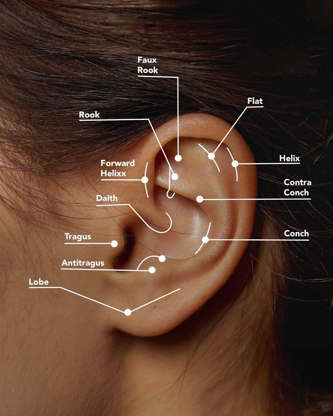 34 Types Of Ear Piercings To Try In 2023 Hairstylery