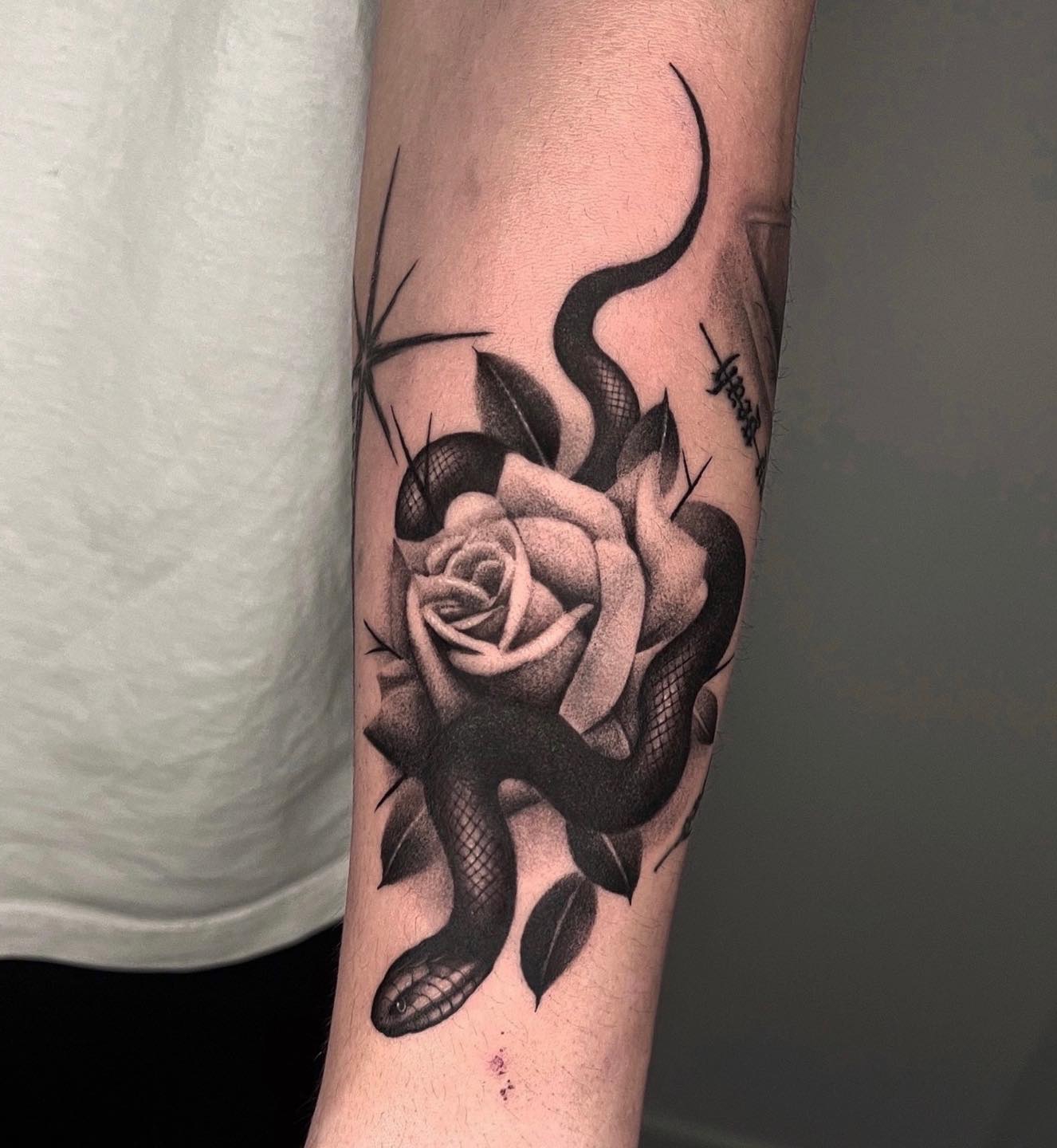 Black Snake and Rose Tattoo on Arm