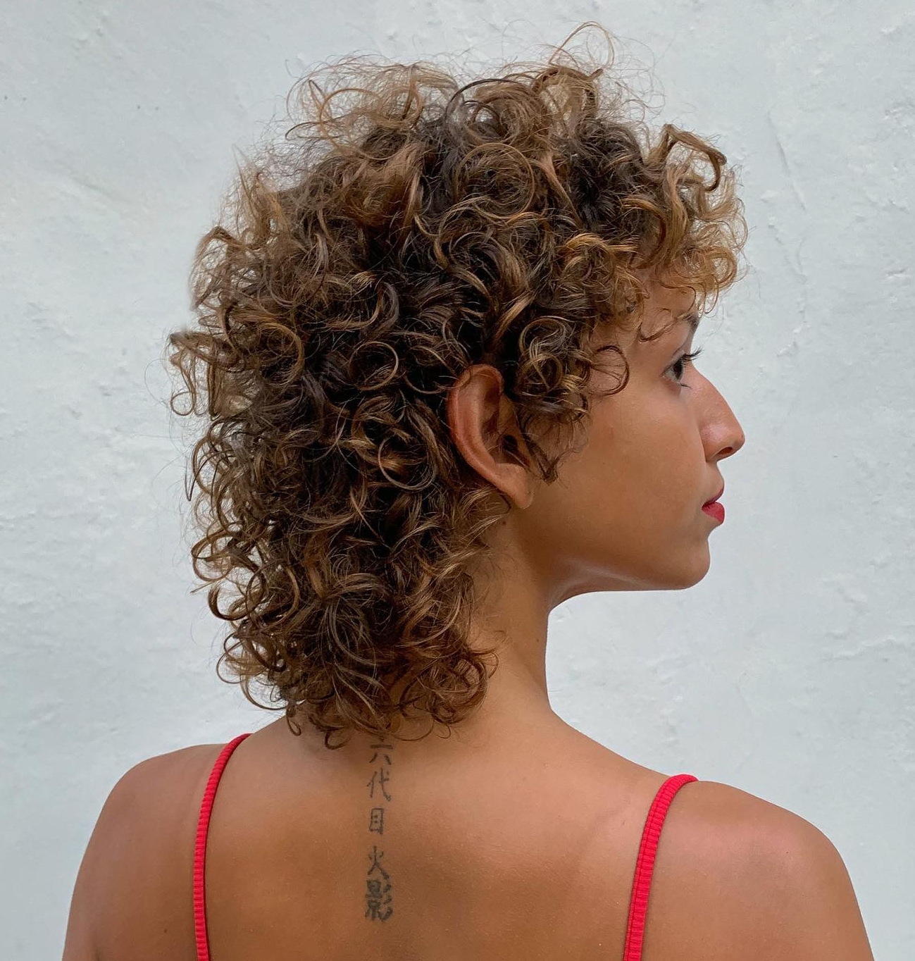 Short Curly Shag on Brown Hair